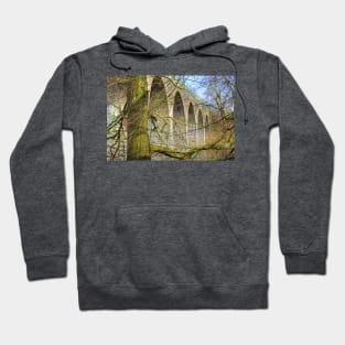 Almondell Viaduct Hoodie